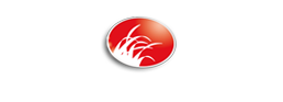 Logo Grafik-Designz